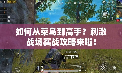 如何從菜鳥到高手？刺激戰(zhàn)場(chǎng)實(shí)戰(zhàn)攻略來啦！