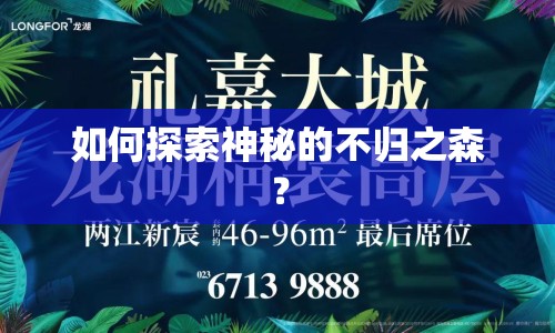 如何探索神秘的不歸之森？