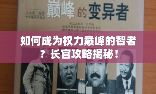 如何成為權(quán)力巔峰的智者？長官攻略揭秘！