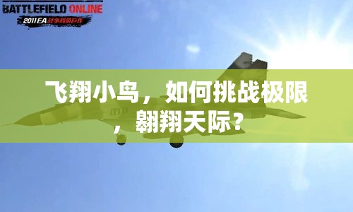 飛翔小鳥，如何挑戰(zhàn)極限，翱翔天際？