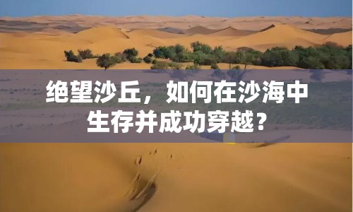 絕望沙丘，如何在沙海中生存并成功穿越？