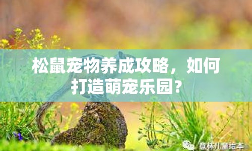 松鼠寵物養(yǎng)成攻略，如何打造萌寵樂(lè)園？