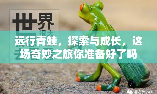 遠行青蛙，探索與成長，這場奇妙之旅你準備好了嗎？