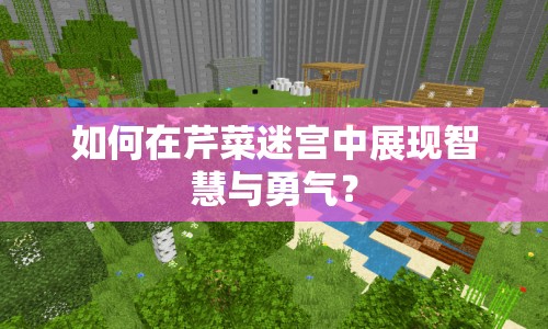 如何在芹菜迷宮中展現(xiàn)智慧與勇氣？