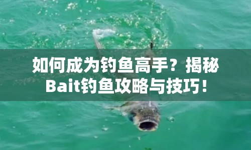 如何成為釣魚(yú)高手？揭秘Bait釣魚(yú)攻略與技巧！