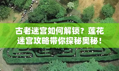 古老迷宮如何解鎖？蓮花迷宮攻略帶你探秘奧秘！