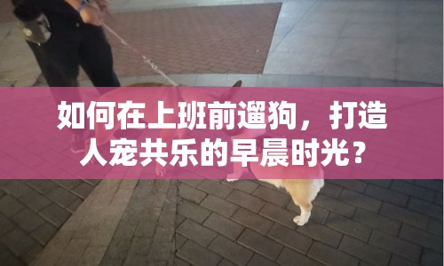 如何在上班前遛狗，打造人寵共樂(lè)的早晨時(shí)光？