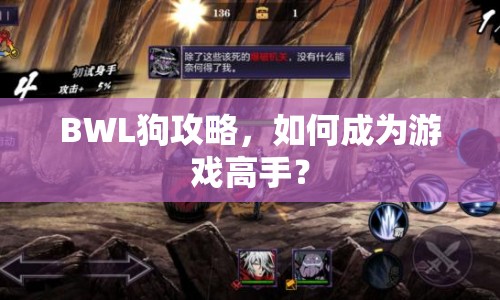 BWL狗攻略，如何成為游戲高手？