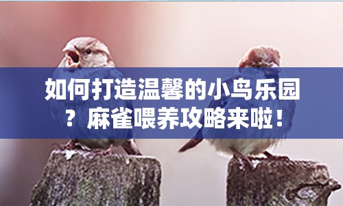 如何打造溫馨的小鳥樂園？麻雀喂養(yǎng)攻略來啦！