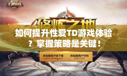 如何提升性愛TD游戲體驗？掌握策略是關(guān)鍵！