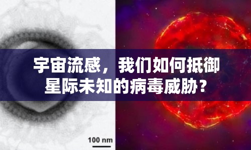 宇宙流感，我們?nèi)绾蔚钟请H未知的病毒威脅？