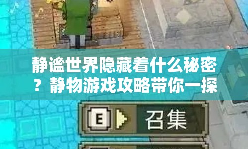 靜謐世界隱藏著什么秘密？靜物游戲攻略帶你一探究竟！