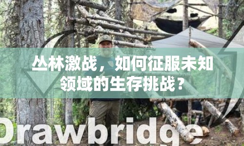 叢林激戰(zhàn)，如何征服未知領(lǐng)域的生存挑戰(zhàn)？