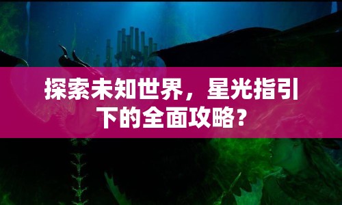探索未知世界，星光指引下的全面攻略？