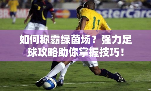 如何稱霸綠茵場(chǎng)？強(qiáng)力足球攻略助你掌握技巧！