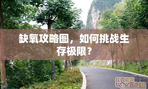 缺氧攻略圖，如何挑戰(zhàn)生存極限？