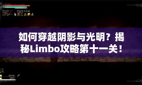 如何穿越陰影與光明？揭秘Limbo攻略第十一關(guān)！