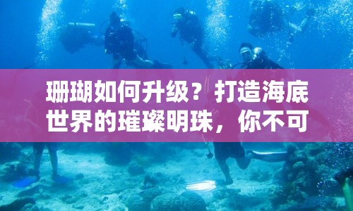 珊瑚如何升級(jí)？打造海底世界的璀璨明珠，你不可不知的攻略！