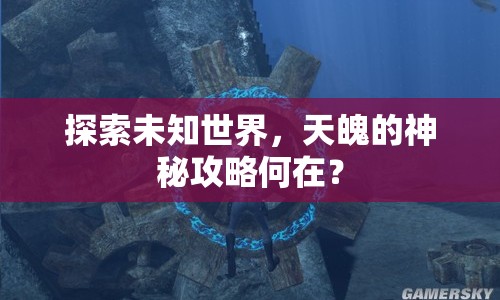 探索未知世界，天魄的神秘攻略何在？
