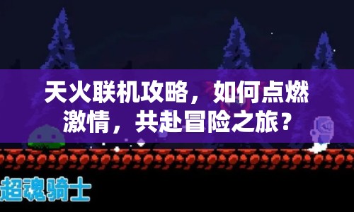 天火聯(lián)機攻略，如何點燃激情，共赴冒險之旅？