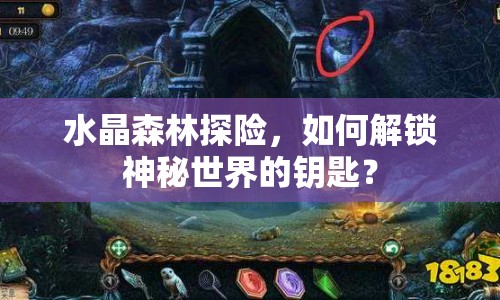 水晶森林探險(xiǎn)，如何解鎖神秘世界的鑰匙？