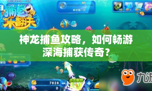 神龍捕魚攻略，如何暢游深海捕獲傳奇？