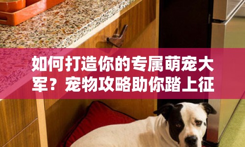 如何打造你的專屬萌寵大軍？寵物攻略助你踏上征途！
