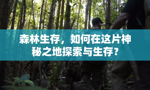 森林生存，如何在這片神秘之地探索與生存？