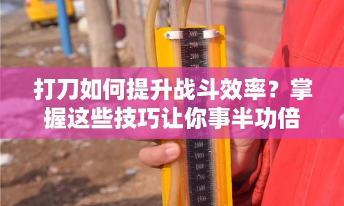 打刀如何提升戰(zhàn)斗效率？掌握這些技巧讓你事半功倍！