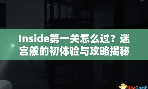 Inside第一關(guān)怎么過？迷宮般的初體驗(yàn)與攻略揭秘！