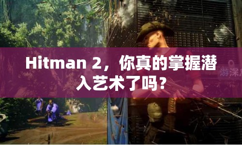 Hitman 2，你真的掌握潛入藝術(shù)了嗎？