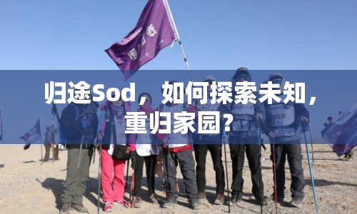 歸途Sod，如何探索未知，重歸家園？