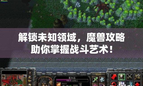 解鎖未知領(lǐng)域，魔獸攻略助你掌握戰(zhàn)斗藝術(shù)！