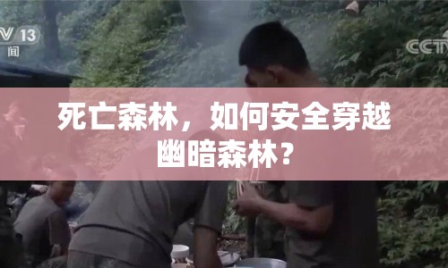 死亡森林，如何安全穿越幽暗森林？