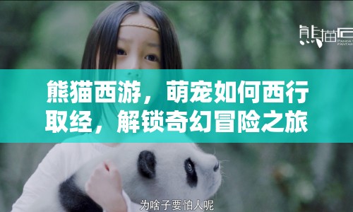 熊貓西游，萌寵如何西行取經(jīng)，解鎖奇幻冒險之旅？