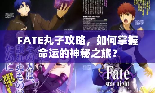 FATE丸子攻略，如何掌握命運(yùn)的神秘之旅？