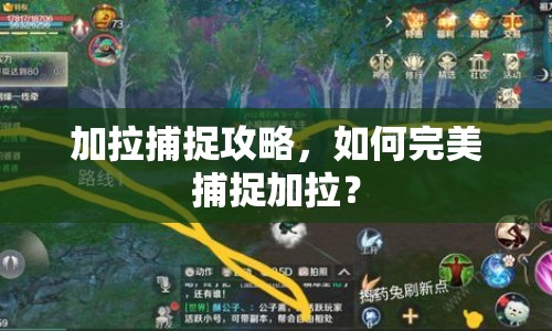 加拉捕捉攻略，如何完美捕捉加拉？