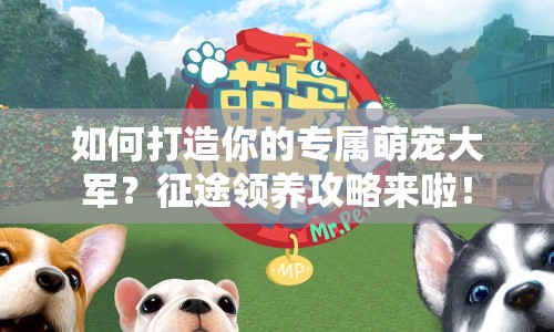 如何打造你的專屬萌寵大軍？征途領(lǐng)養(yǎng)攻略來啦！