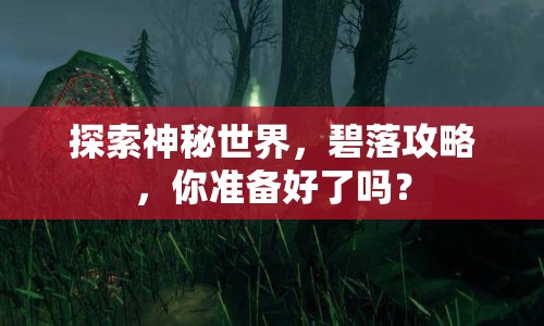 探索神秘世界，碧落攻略，你準備好了嗎？