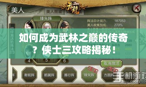 如何成為武林之巔的傳奇？俠士三攻略揭秘！