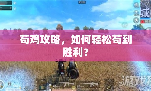 茍雞攻略，如何輕松茍到勝利？