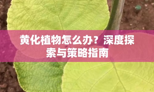 黃化植物怎么辦？深度探索與策略指南