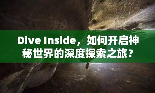 Dive Inside，如何開啟神秘世界的深度探索之旅？