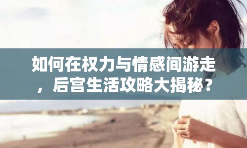 如何在權(quán)力與情感間游走，后宮生活攻略大揭秘？
