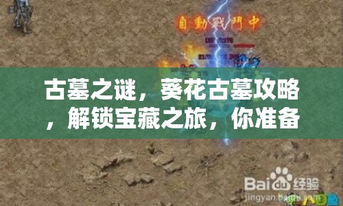 古墓之謎，葵花古墓攻略，解鎖寶藏之旅，你準(zhǔn)備好了嗎？