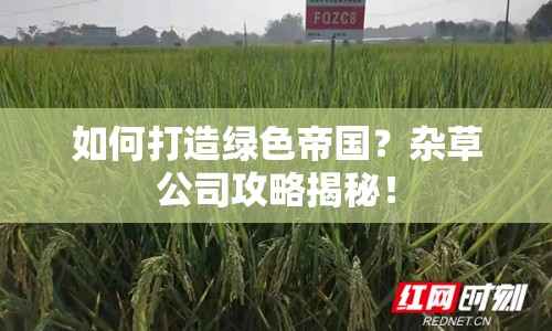 如何打造綠色帝國？雜草公司攻略揭秘！