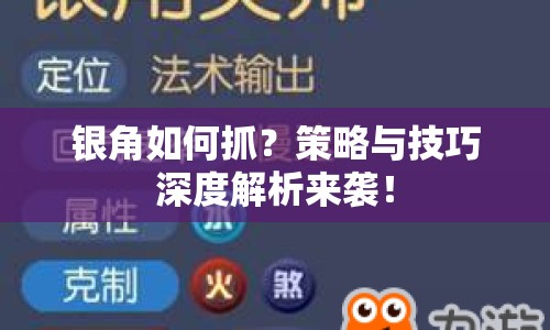 銀角如何抓？策略與技巧深度解析來(lái)襲！