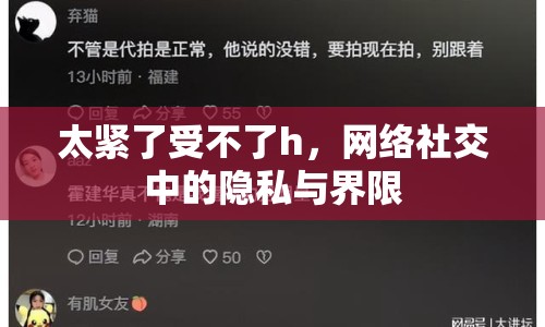太緊了受不了h，網(wǎng)絡(luò)社交中的隱私與界限