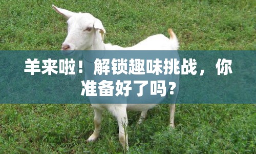 羊來啦！解鎖趣味挑戰(zhàn)，你準備好了嗎？