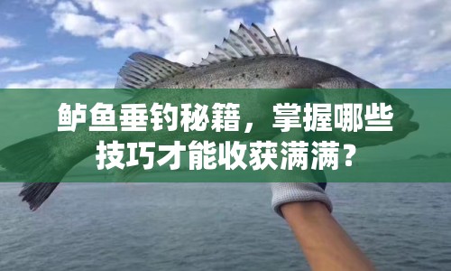 鱸魚垂釣秘籍，掌握哪些技巧才能收獲滿滿？